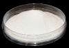 Dicalcium Phosphate Dibasic Calcium Phosphate Dibasic Manufacturers